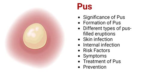 tiny puss|What the Different Colors of Pus Mean .